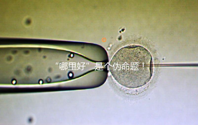 “哪里好”是個偽命題!上海市第十人民醫院做試管經驗分享