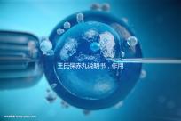 王氏保赤丸說明書，作用功效、用法用量全都有！