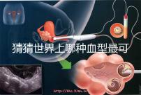 猜猜世界上哪種血型最可怕，史上超全排行榜為你揭曉答案