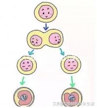男人結(jié)婚時是否可以穿白色鞋子和白色西裝進(jìn)行分析,看看對誰不利
