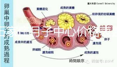 石家莊月子中心價(jià)格表整理,長安最貴最好的一家原來是它