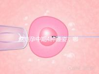 盤點孕中期4種睡姿，哪一種正確又健康？