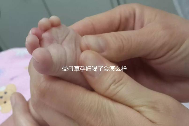 益母草孕婦喝了會怎么樣要早知，會不會流產、怎么辦這都有