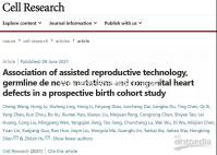 目前國外做試管嬰兒需要結婚證嗎?不同地區(qū)證照要求解讀