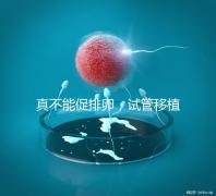 真不能促排卵，試管移植前吃優思明作用與功效竟是這