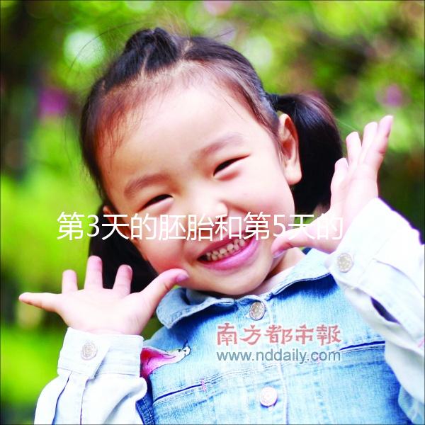 第3天的胚胎和第5天的囊胚，到底該怎么選成功率才高？