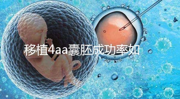 移植4aa囊胚成功率如何?細(xì)說(shuō)質(zhì)量等級(jí)讓你助孕更安心