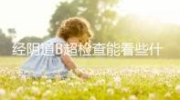 經(jīng)陰道B超檢查能看些什么?為什么一定要在月經(jīng)期?