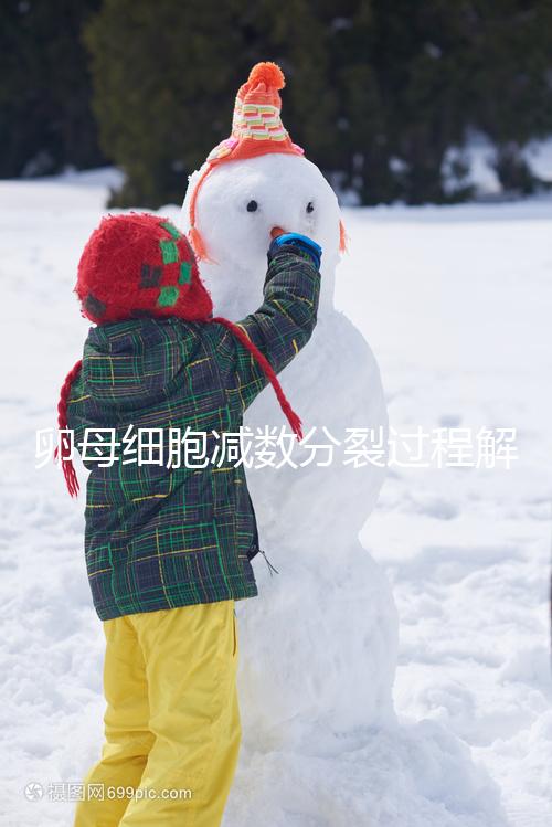 卵母細胞減數(shù)分裂過程解讀,從出生到成熟必經(jīng)這3個階段