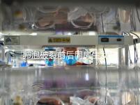 卵泡破裂前后同房生女孩不可信！想要懷女兒送你這3招