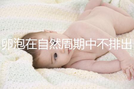 卵泡在自然周期中不排出可以移植快速get嗎？取卵好看嗎？