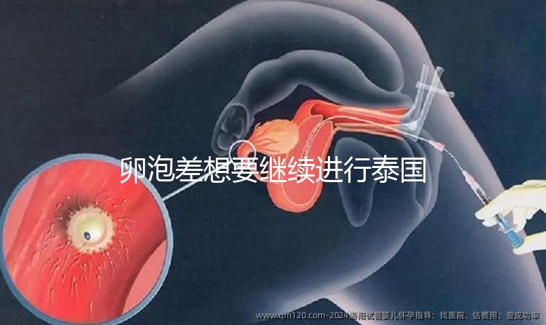 卵泡差想要繼續(xù)進(jìn)行泰國(guó)試管嬰兒,送你這份過來人小心得