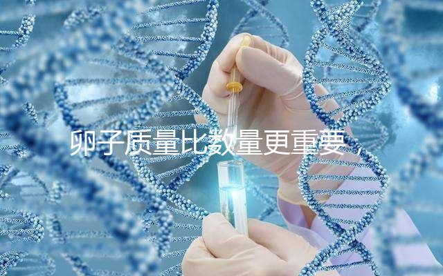 卵子質量比數量更重要，9個卵泡生男孩也很難