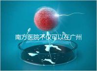 南方醫(yī)院不僅可以在廣州做b超,2024年黃浦區(qū)收費最高...