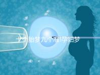 十個胎夢九個準!孕婦夢見火車的寓意解讀