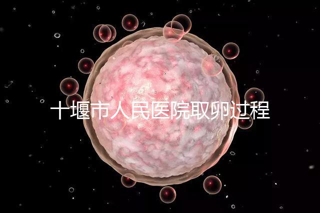 十堰市人民醫(yī)院取卵過(guò)程詳解，三種情況可全身麻醉
