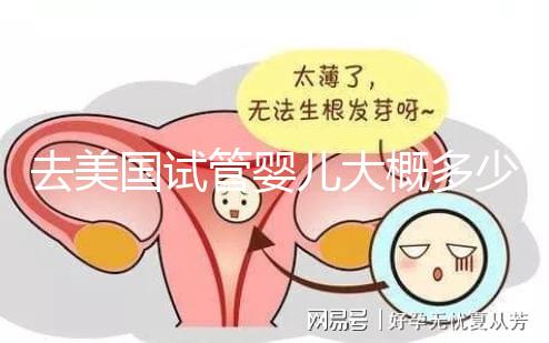 去美國試管嬰兒大概多少錢，省錢技巧有哪些必看