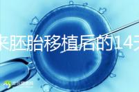 原來胚胎移植后的14天,這些信號預示著床成功