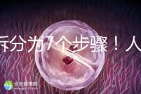 共拆分為7個步驟!人工授精自然周期流程全解