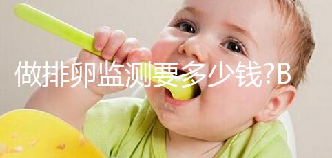 做排卵監(jiān)測(cè)要多少錢(qián)?B超最貴而基礎(chǔ)體溫監(jiān)測(cè)不要錢(qián)
