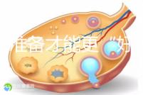 做好準備才能更“好孕”!美國試管嬰兒進周前后3大注意事項