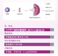 做試管嬰兒男方也要備孕?提升精子質(zhì)量“四素一葷”不能少!