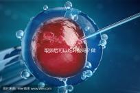 取卵后可以吃葉酸嗎?做過試管的姐妹們都這么說...