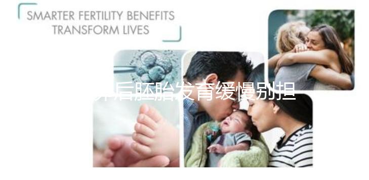 取卵后胚胎發(fā)育緩慢別擔(dān)心!這么做試管成功率翻倍