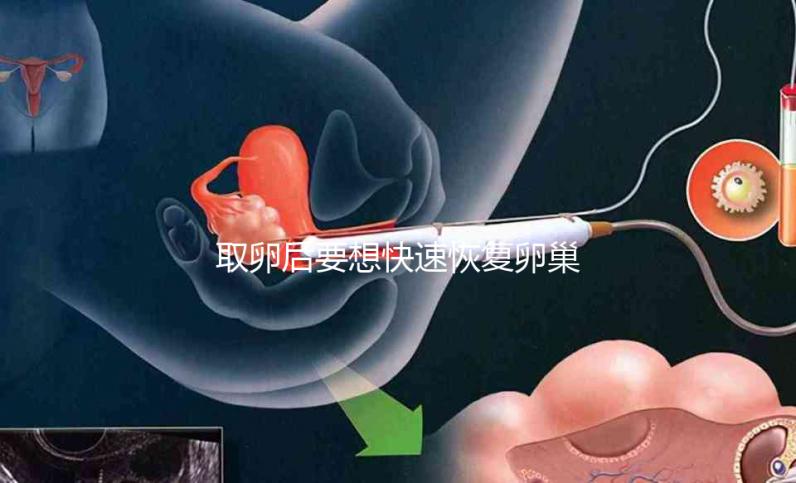 取卵后要想快速恢復(fù)卵巢,這8個(gè)方法絕對有效!