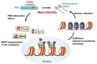 取卵后10天會來月經嗎？快拿小本本記好準確時間