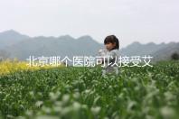 北京哪個醫院可以接受艾滋病病人做試管手術