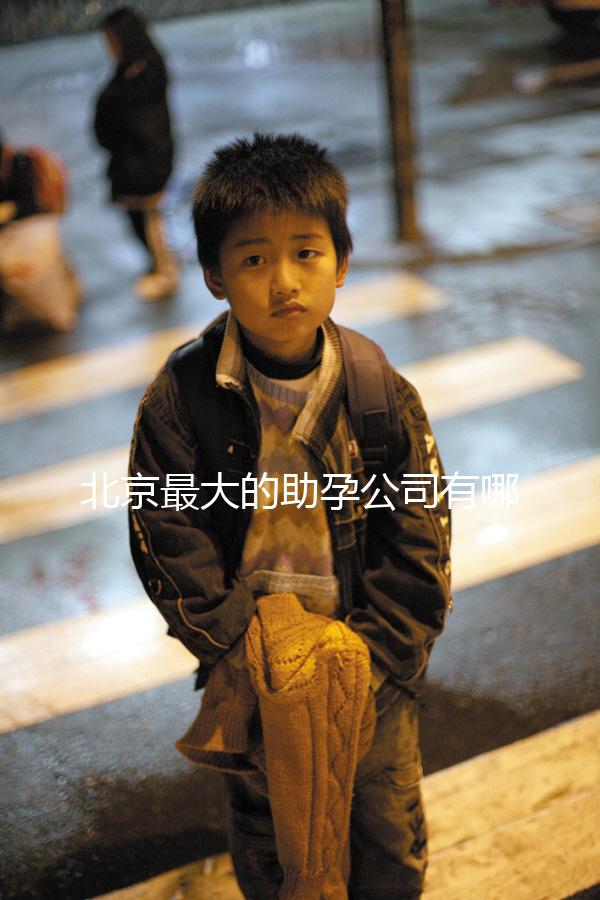 北京最大的助孕公司有哪些，是合法的嗎？