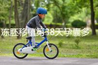 凍胚移植第38天孕囊多大？孕周和孕囊大小對照表一覽