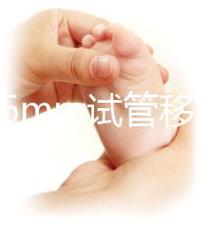 內(nèi)膜16mm試管移植能否著床速覽,可否移植看身體情況