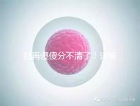 別再傻傻分不清了!詳解美國試管嬰兒和人工授精的區別