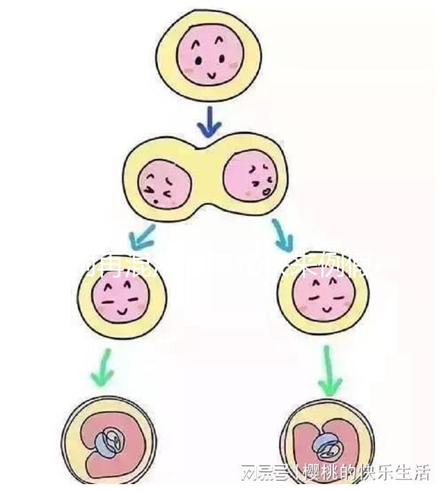 別再混淆著床和快來例假了，除了出血量還有這些區別