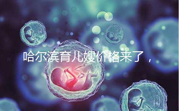 哈爾濱育兒嫂價格來了,公司排行榜top1多少錢看完了解