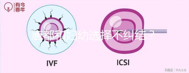 唐都和婦幼選擇不糾結(jié)?西安做試管嬰兒前要了解這些......