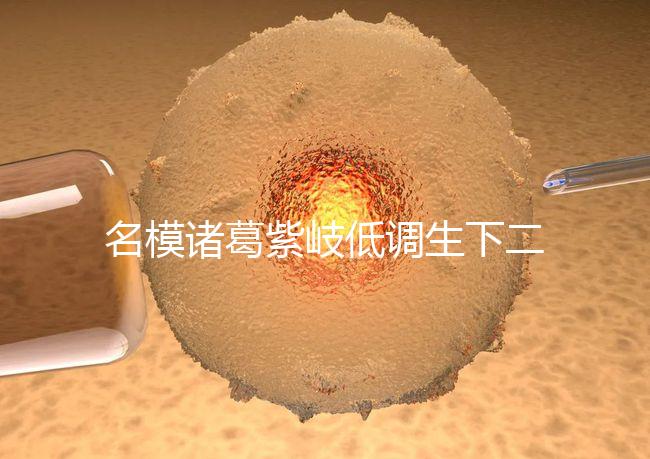 名模諸葛紫岐低調(diào)生下二胎,孕7個(gè)月肚子扁平成焦點(diǎn)