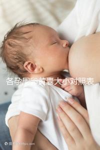 各孕周卵黃囊大小對(duì)照表,偏大、偏小都不正常