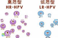 合肥做試管嬰兒要花多少錢(qián)?進(jìn)周期前這些注意事項(xiàng)都來(lái)看看