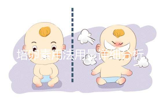 培卵素用法用量詳細分析，不同情況服用時間有差異