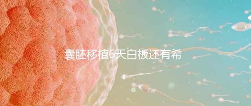 囊胚移植6天白板還有希望嗎？別沮喪該來的總是會來的