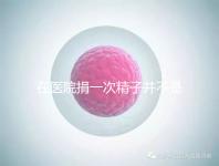 在醫(yī)院捐一次精子并不是白捐，補(bǔ)償多少錢(qián)這里告訴你