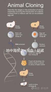 地中海貧血≠貧血！趕緊來看看地貧和貧血有什么區別