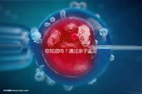 你知道嗎？通過親子鑒定補辦出生證也能給寶寶上戶口