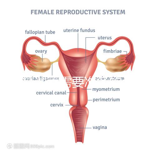 供精試管需要準備的資料一覽，除結婚證外這些也必不可少