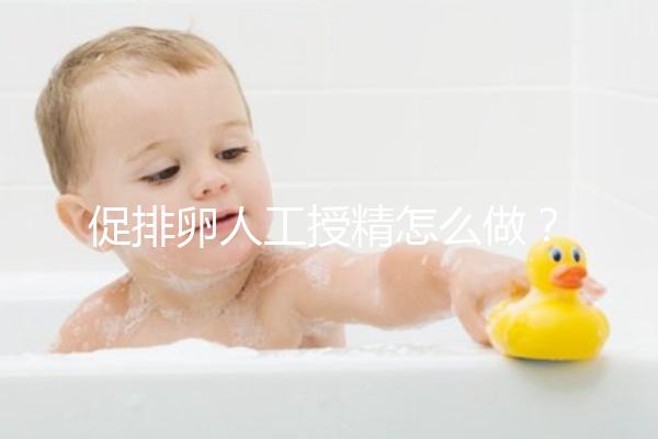促排卵人工授精怎么做?4步操作過程戳這里了解