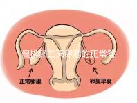 促排卵三天卵泡的正常答案是什么?取出8毫米卵原細(xì)胞的時(shí)間