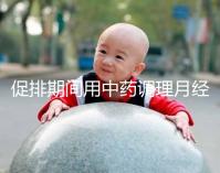 促排期間用中藥調(diào)理月經(jīng)需謹(jǐn)慎，請先弄清楚可不可以吃再說